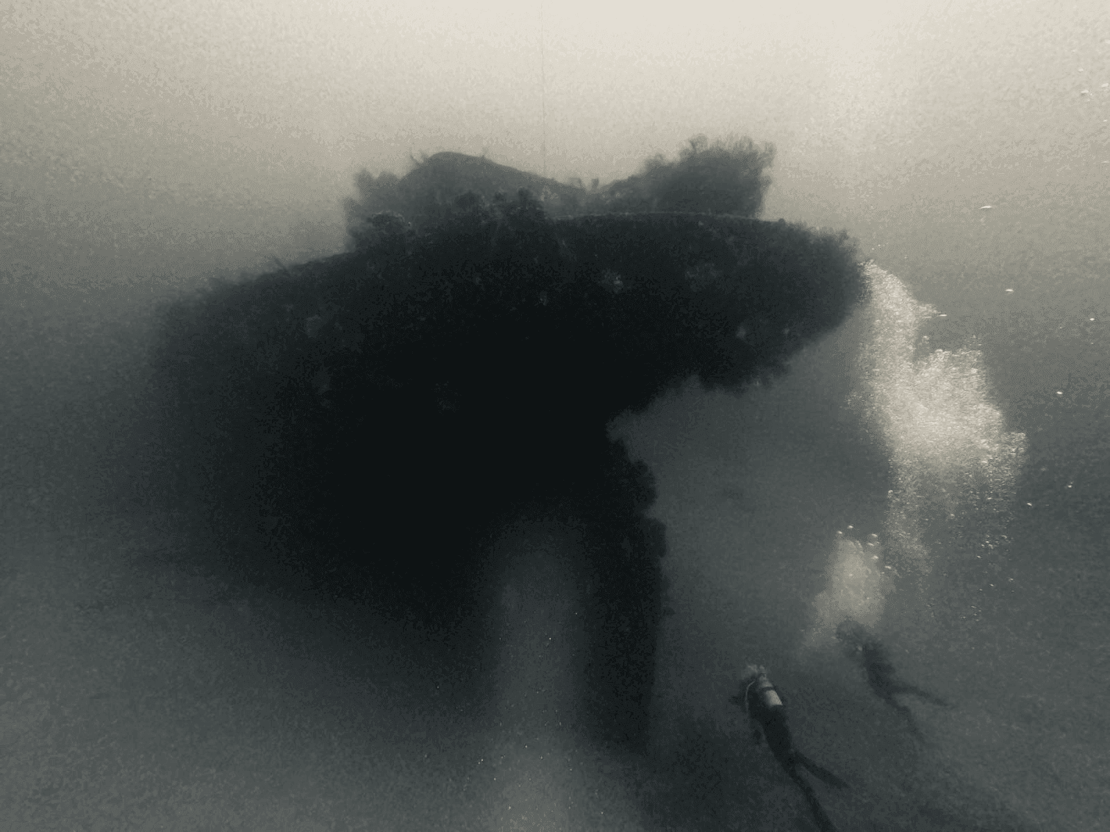 Diving